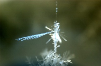 Ice Crystals from Diffusion